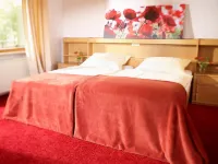 Berghotel Wintersberg Hotels in Bad Ems