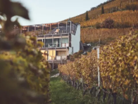 Haller Suites & Restaurant Hotels in Brixen