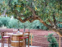 B&B Pietre Preziose Hotels in Castelluzzo