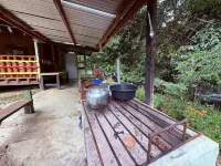 Langanan Campground Poring Ranau