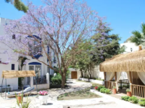 Serpina Hotel Hotels in Gumbet