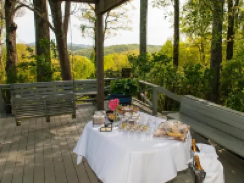 Orchard Inn Hotels in Saluda