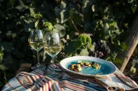 Is Cheas Wine Farm Boutique Hotel Hotels in Paulle