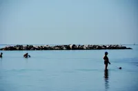 Hotel Bella Romagna