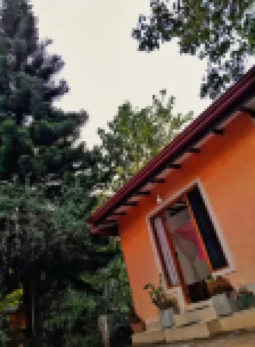 Galkotuwa Estate