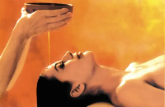 百靈達特勞博酒店 巴登韋勒酒店