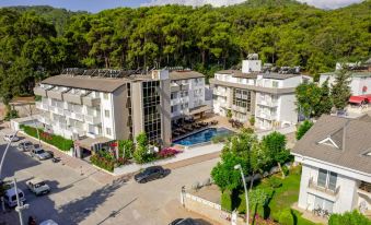 Viking Express Hotel