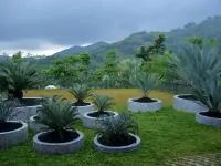 Sarga Earthing Resort Hoteles en Pacet