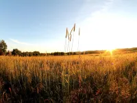 R&R Hotel Strandallee Hotels in Baabe