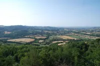 일 포콜라레 토디