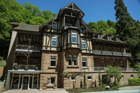 Hotel Luise Отели в г. Шванхайм