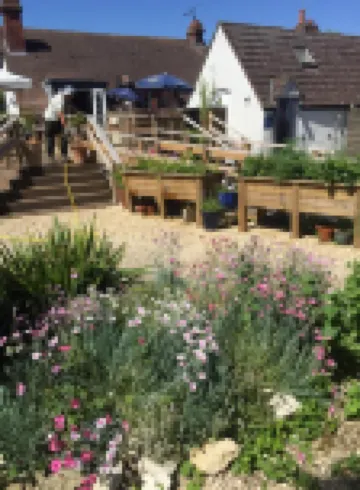 Helen Browning's Royal Oak Hotels in 