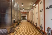 Fattoria Fibbiano - Farmhouses