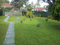 Mama's Hostel by Taprobane - Villas