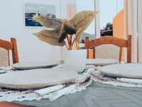 Hvar Spa & Apartments - Homestays