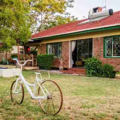 Birdville Bnb Guest House Hotel Exterior