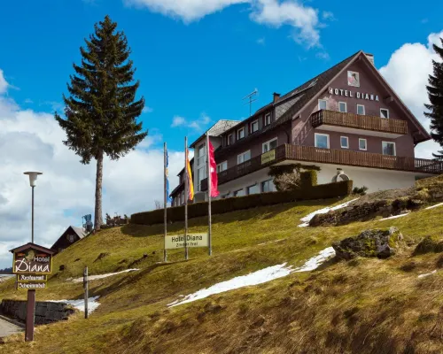 Hotel Diana Hotels in Feldberg