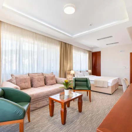 Hotel Montenegrino