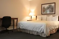 Alpine Inn & Suites Rockford - Wifi