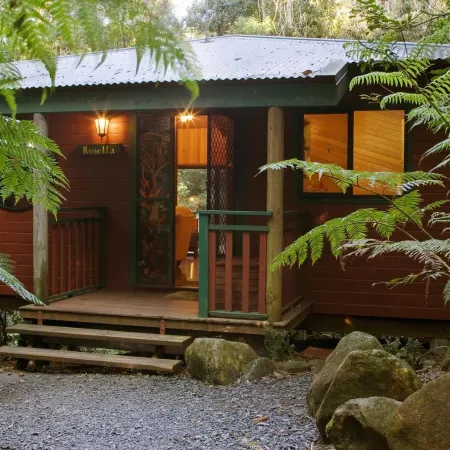 Springbrook Lyrebird Retreat Отели в г. Спрингбрук