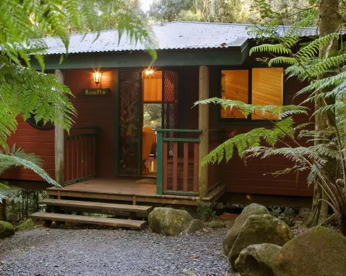 Springbrook Lyrebird Retreat Hotels in Springbrook