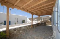 Asimina