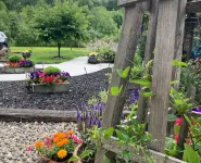 Glenn Meadow Bed and Breakfast - Homestays