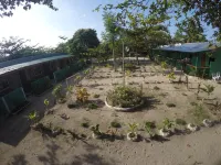 마부하이 트레셔 다이브 리조트