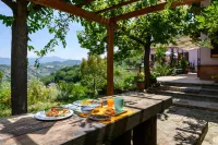 B&B Albachiara Casa di Campagna Các khách sạn ở Torchiara