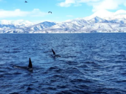 知床サライ 羅臼のホテル