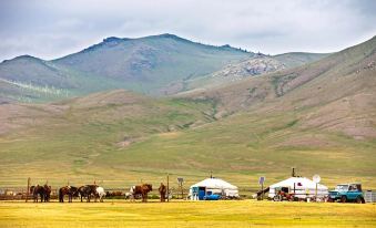 Mongolian Vision Tours