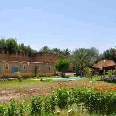 Bivouac Sous les Palmiers Bleus Hotel Exterior