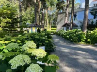 Officer's Yacht Club Resort & Spa 住宿飯店