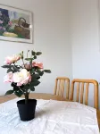 Säffle Suites - By Svaneholm Hotel - 3 étoiles