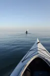 هوتل موفا بيتش