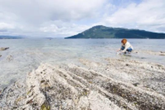 Belle Maison Auprès de La Mer