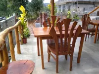 Ella Rawana Den Hotel