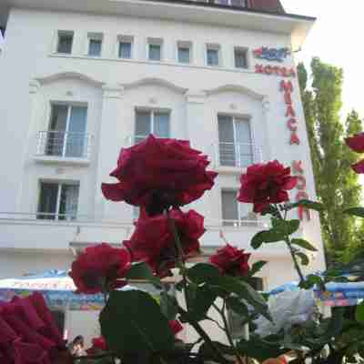 Melsa Coop Hotel Hotel Exterior