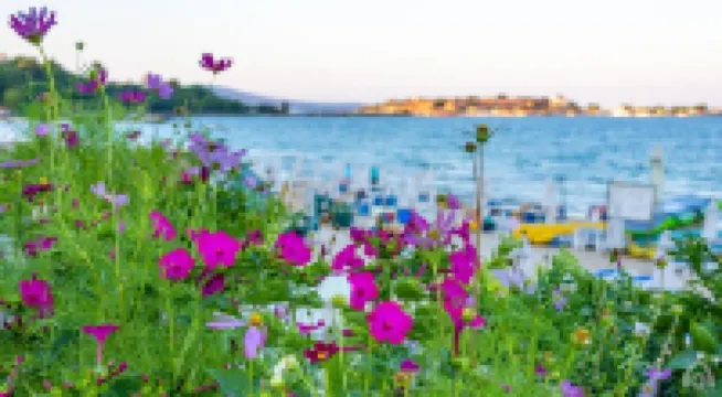 อพาร์ทเม้น Perla