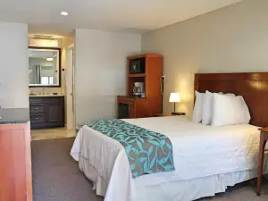 Bell & Main Alamosa Studio Suite-Walking Distance to Downtown
