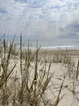 Comfort Suites Chincoteague Island Bayfront Resort - Ocean View