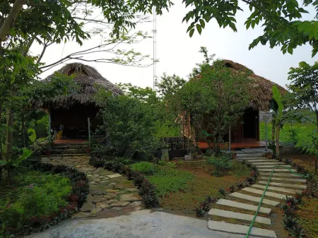 Cuc Phuong Bungalow Отели в г. Nho Quan