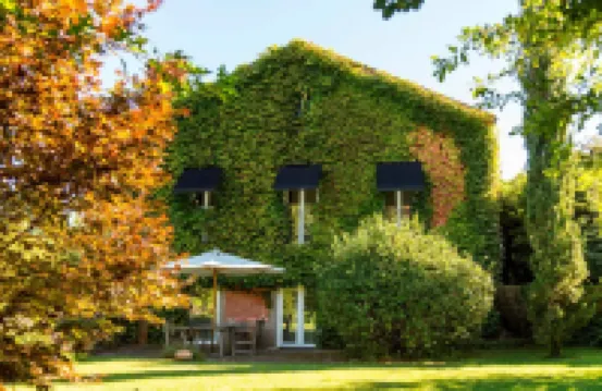 Wine Tourism - Quinta do Ameal