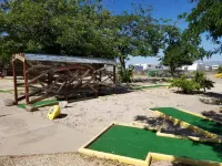 Kingman Koa