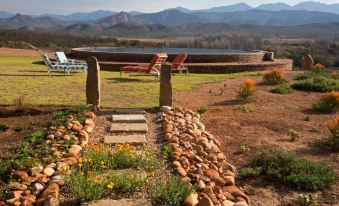 Rietfontein Ostrich Palace