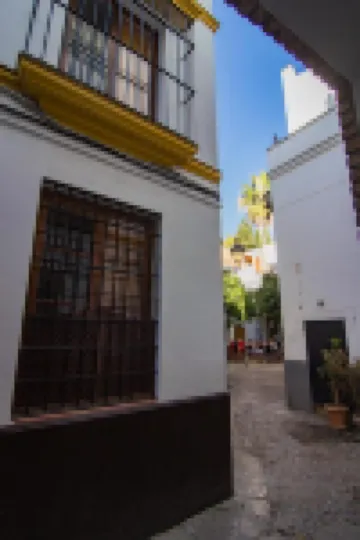 APARTAMENTOS BOUTIQUE VIDA Hotels in Seville