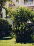 Route Active Hotel
