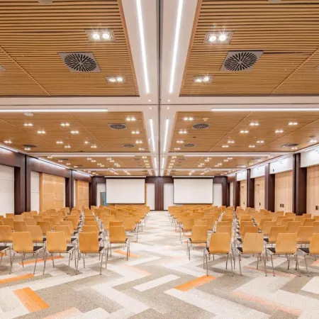 Fagus Hotel Conference & Spa Superior