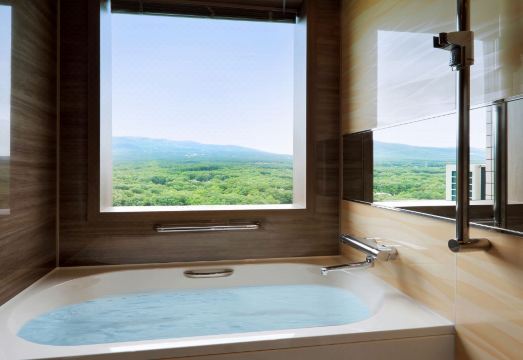 호텔 에피나르 나스 객실