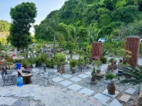Cat Ba Love House - Mountain view